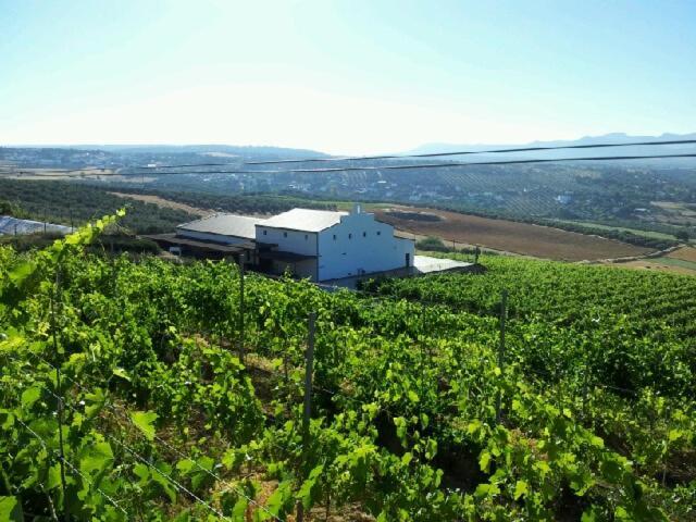 Bodegas Morosanto Daire La Cimada Dış mekan fotoğraf
